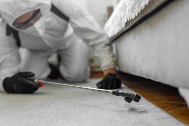Professional Bed Bug Control technician working in De Leon Springs, FL