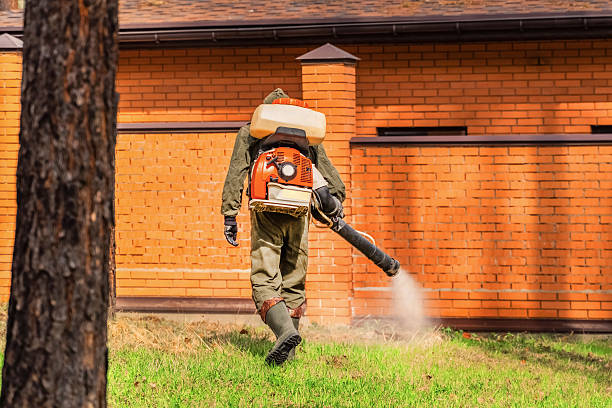 Trusted Bed Bug Control service in De Leon Springs, FL - Nex Pest Control